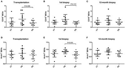 B Cell-Derived Extracellular Vesicles Reveal Residual B Cell Activity in Kidney Graft Recipients Undergoing Pre-Transplant Desensitization